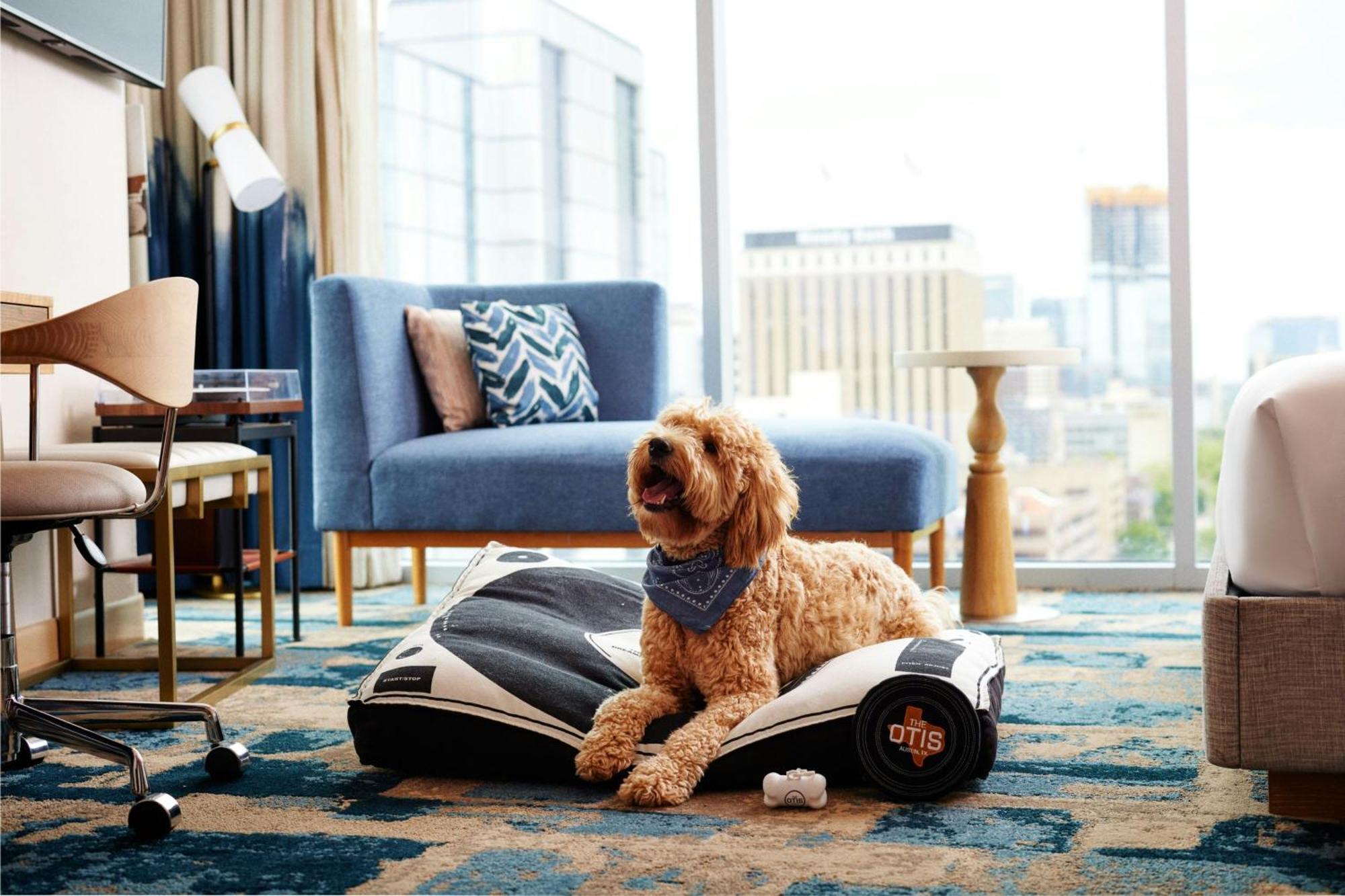 The Otis Hotel Austin, Autograph Collection Buitenkant foto